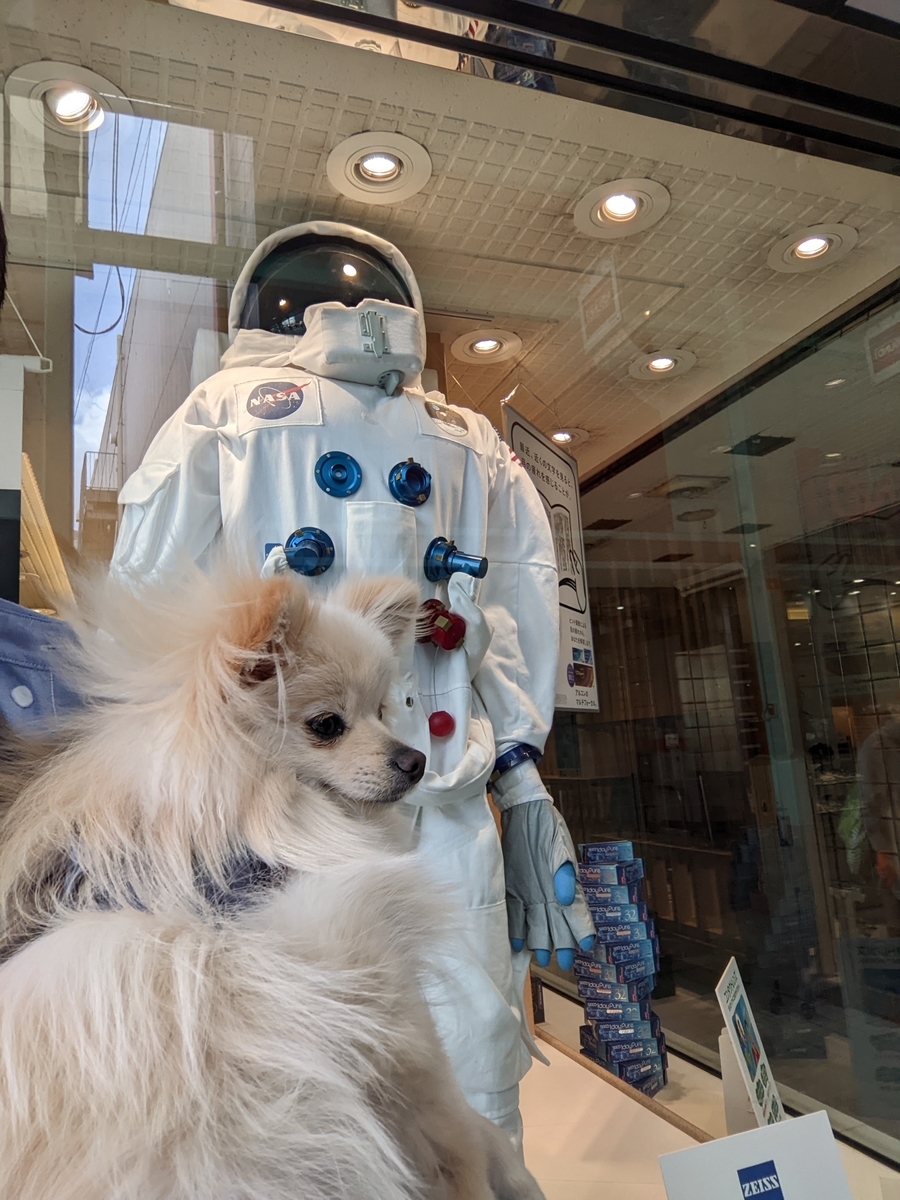 f:id:Lucky91:20220323231825j:plain