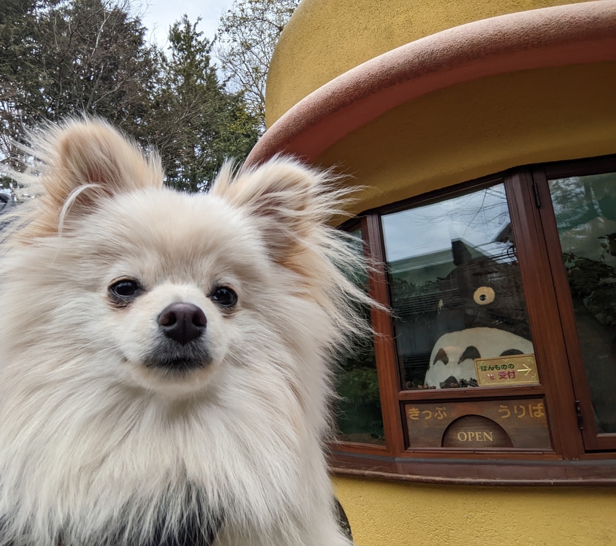 f:id:Lucky91:20220323231840j:plain