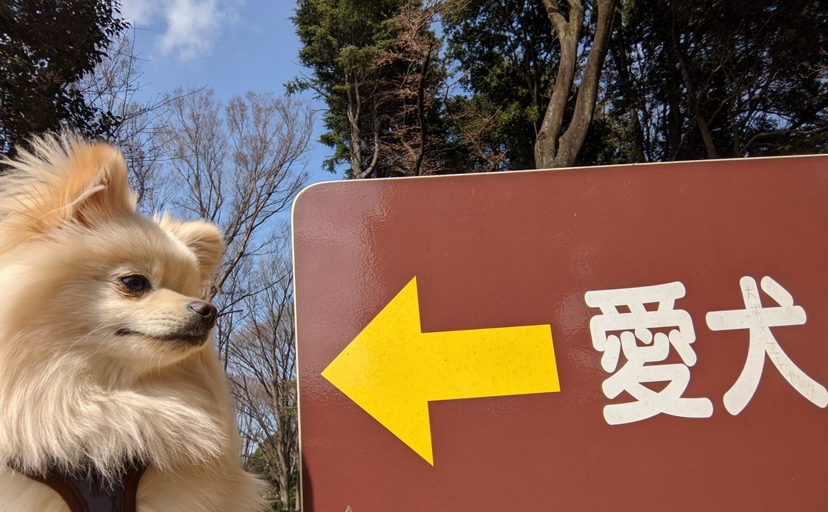 f:id:Lucky91:20220327224703j:plain