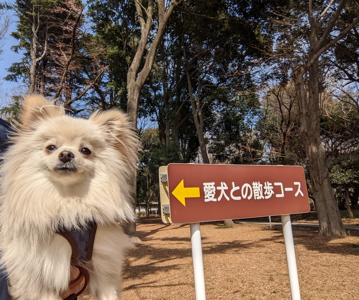 f:id:Lucky91:20220327224722j:plain