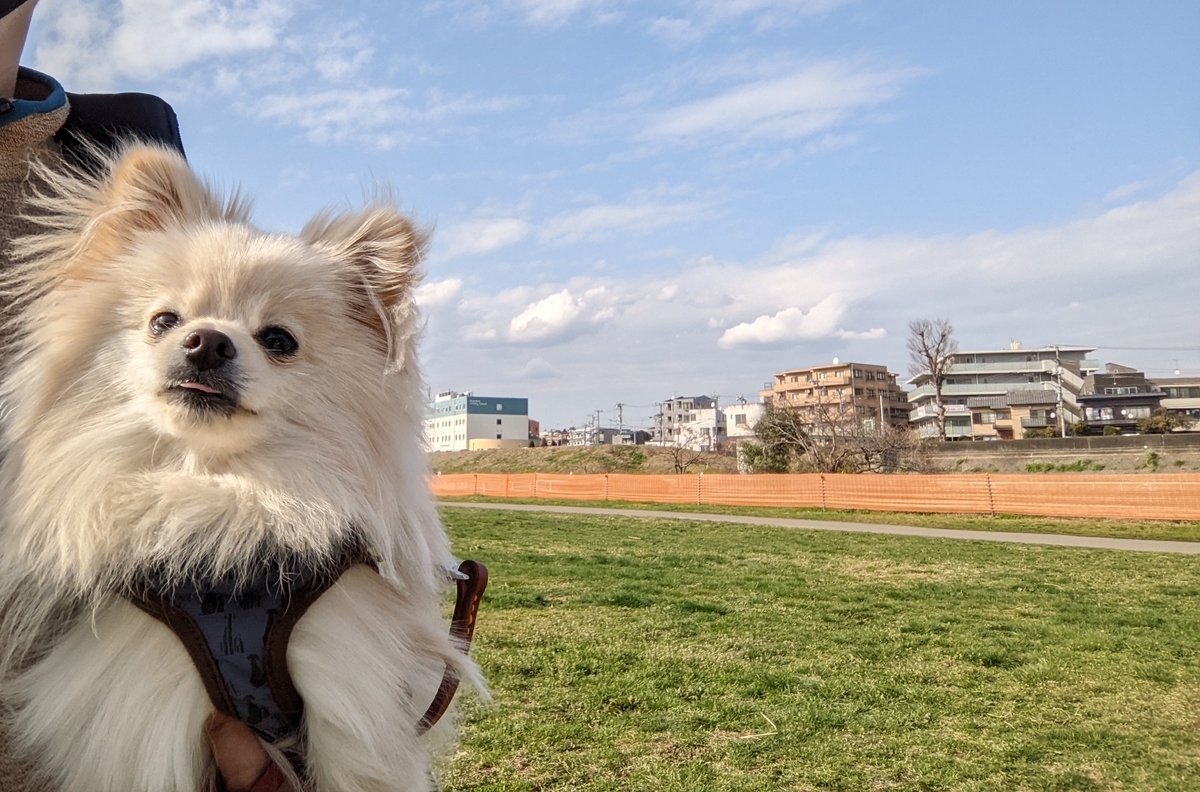 f:id:Lucky91:20220327224920j:plain