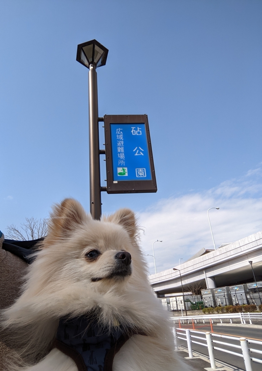 f:id:Lucky91:20220327225444j:plain