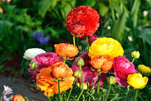 f:id:Luckyhappylife:20170412131216j:plain f:id:Luckyhappylife:20170412131216j:plain
