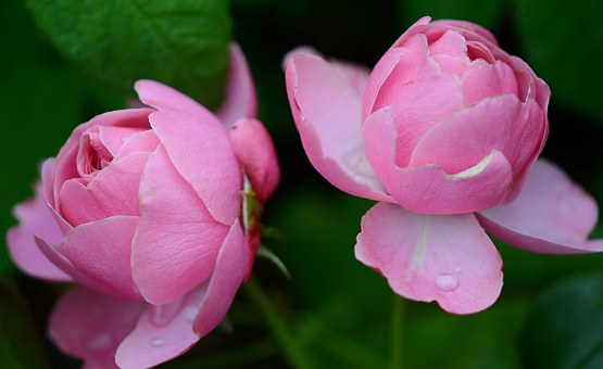 f:id:Luckyhappylife:20170412174647j:plain f:id:Luckyhappylife:20170412174647j:plain