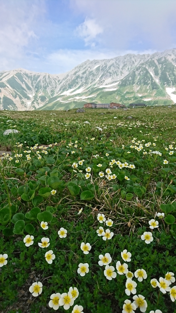 f:id:Luckytours:20180810205500j:plain