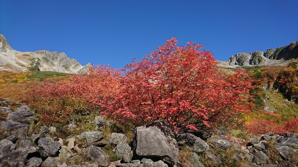 f:id:Luckytours:20181008200635j:plain