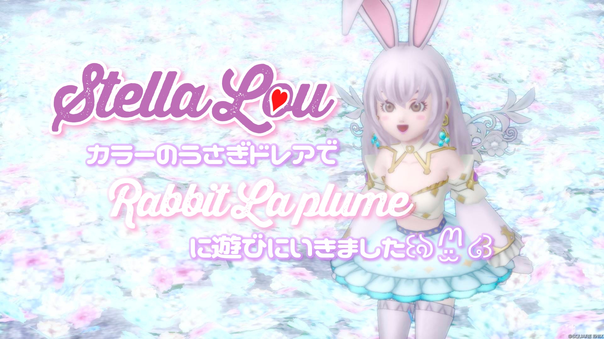 ステラ・ルー】カラーのうさぎドレアで『Rabbit La plume』に