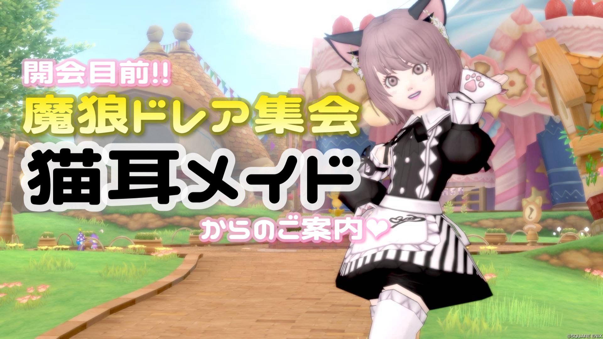✿Dom❤Mia✿様　リクエスト　おまとめ9苗 mini9 寄せ植えセットお任せ9苗セット | トロピカルガーデン