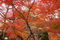 よく見えませんが南禅寺三門