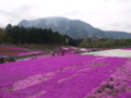 埼玉県秩父市の羊山公園からのお天気カメラです