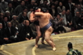 寄り切る魁皇