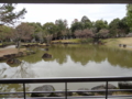 20120304164933