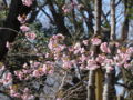20140323111647