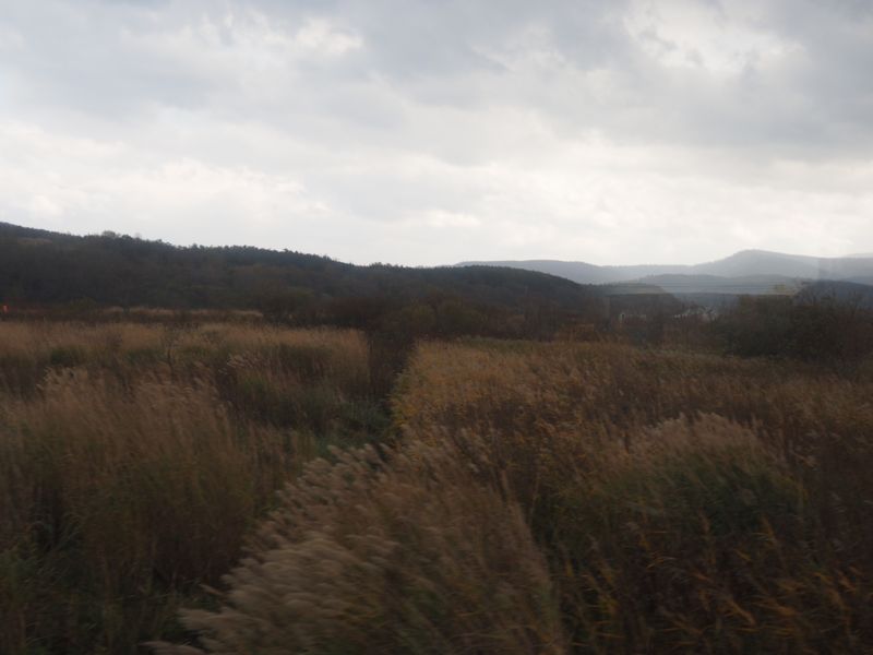 f:id:Lunacat:20151012122914j:image:w480