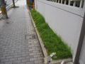 20160604152523