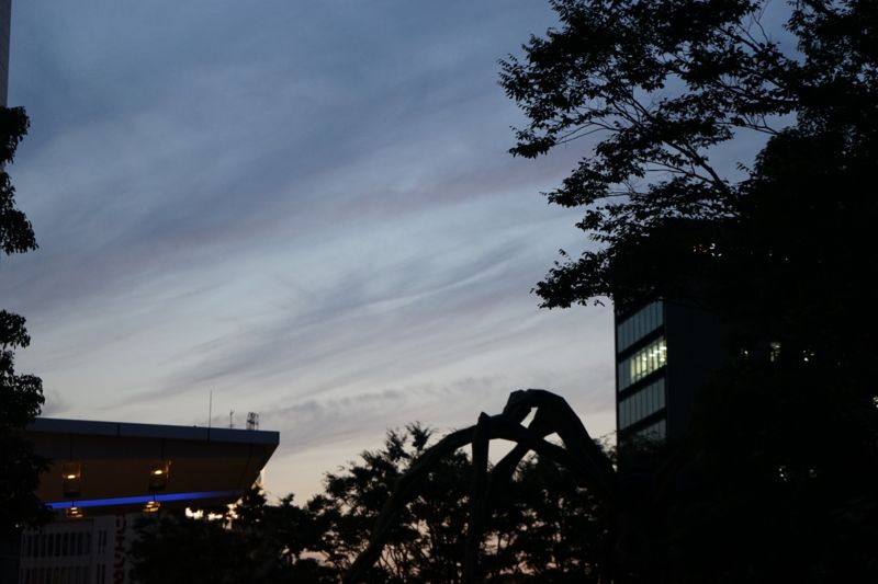 f:id:Lunacat:20160618191729j:image:w480