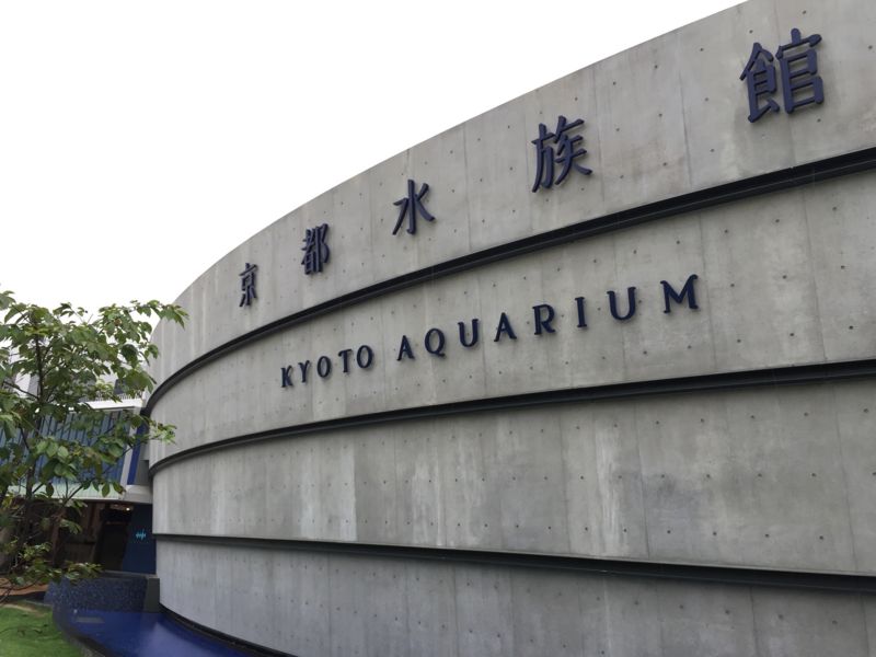 f:id:Lunacat:20160708171656j:image:w300 f:id:Lunacat:20160708171656j:image:w300