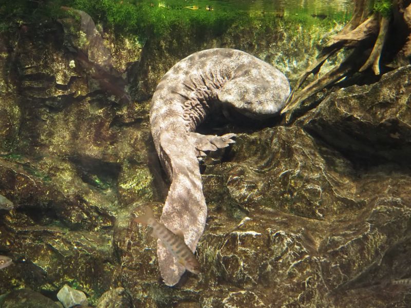 f:id:Lunacat:20160708172602j:image:w300 f:id:Lunacat:20160708172602j:image:w300