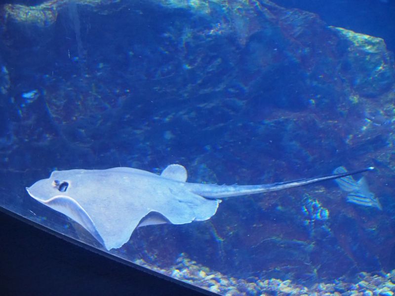 f:id:Lunacat:20160708173331j:image:w300 f:id:Lunacat:20160708173331j:image:w300