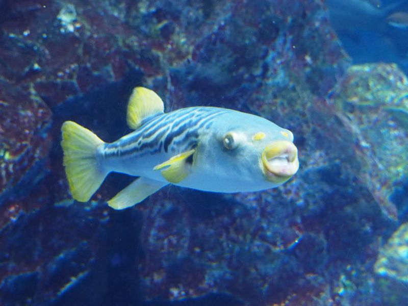 f:id:Lunacat:20160708173404j:image:w300 f:id:Lunacat:20160708173404j:image:w300