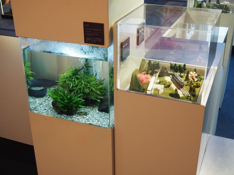 f:id:Lunacat:20160708173811j:image:w300