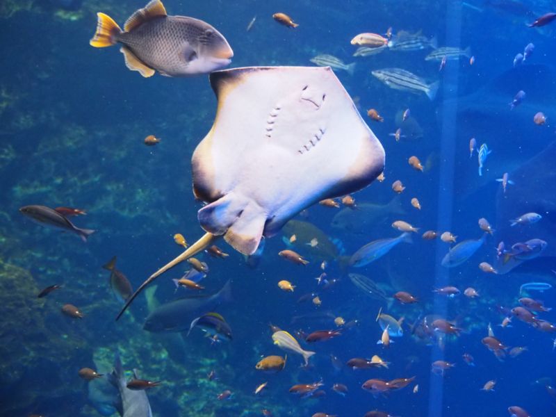 f:id:Lunacat:20160708174507j:image:w480 f:id:Lunacat:20160708174507j:image:w480