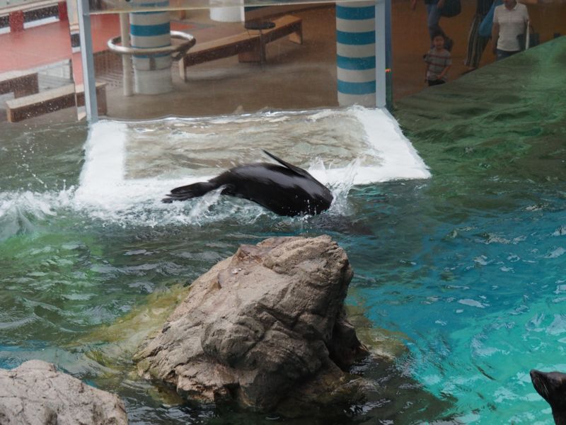 f:id:Lunacat:20160708180949j:image:w300 f:id:Lunacat:20160708180949j:image:w300