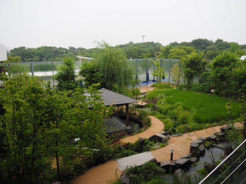 f:id:Lunacat:20160708182907j:image:w300