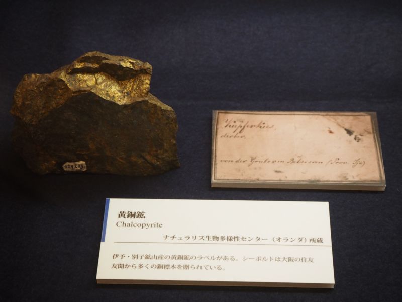 f:id:Lunacat:20160923182817j:image:w480