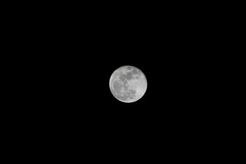 f:id:Lunacat:20170113214600j:plain:w600