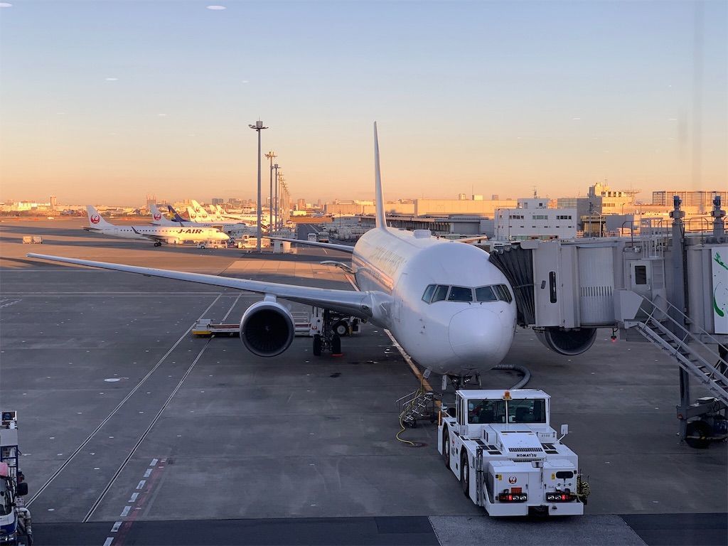 f:id:Lunacat:20190107221831j:image f:id:Lunacat:20190107221831j:image