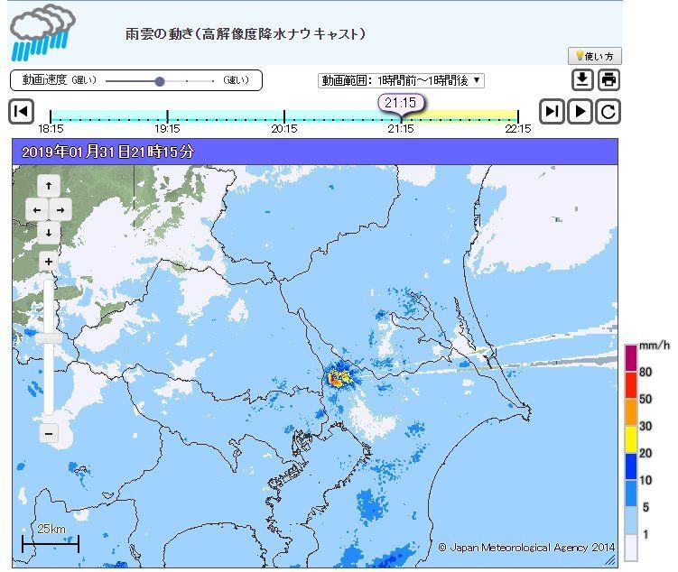 f:id:Lunacat:20190201200315j:plain