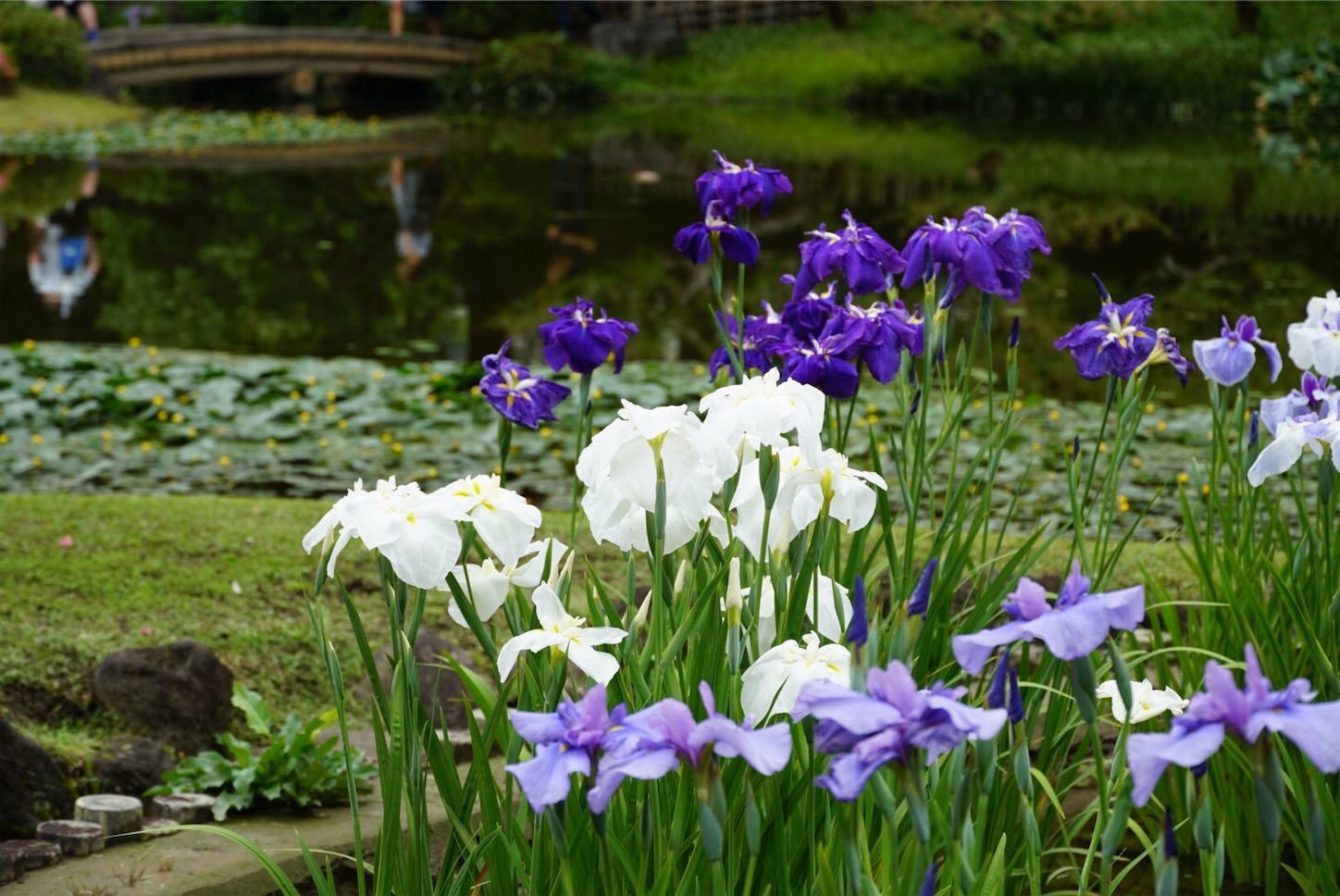 f:id:Lunacat:20190615181207j:image