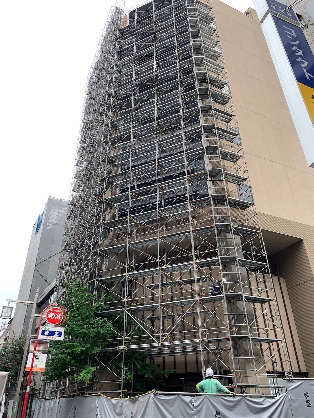 f:id:Lunacat:20190723232201j:image