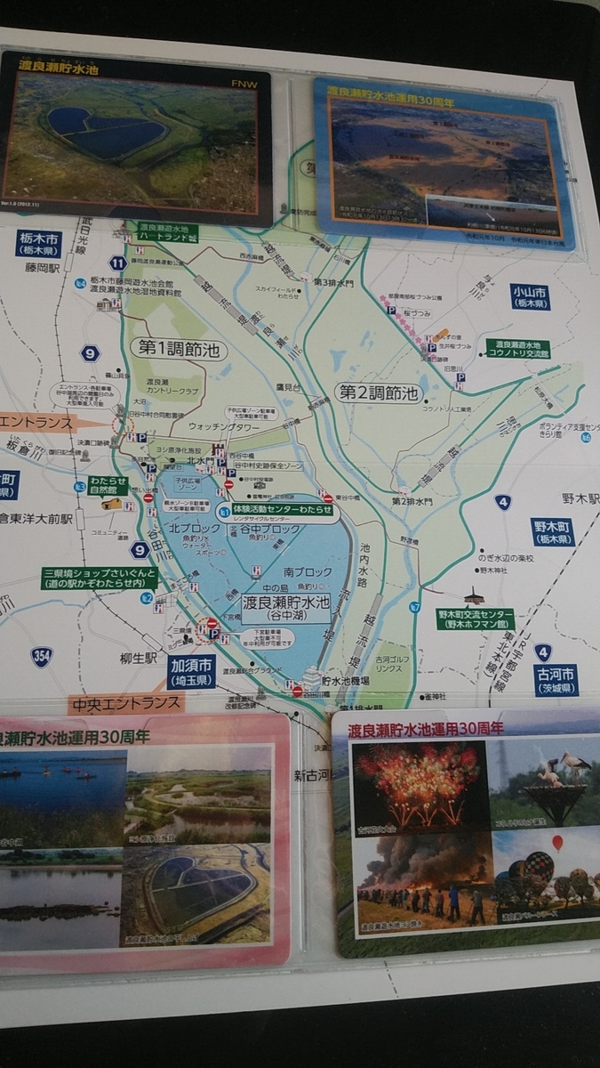f:id:Lunakko:20211203161340j:plain