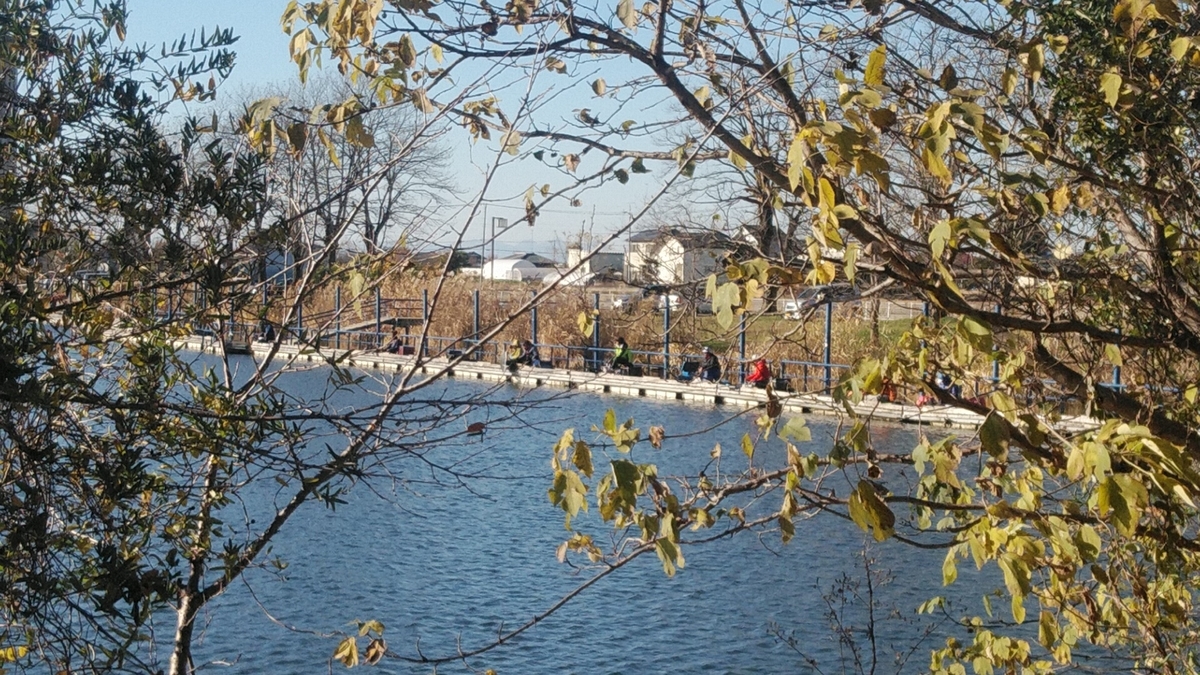 f:id:Lunakko:20211203162000j:plain