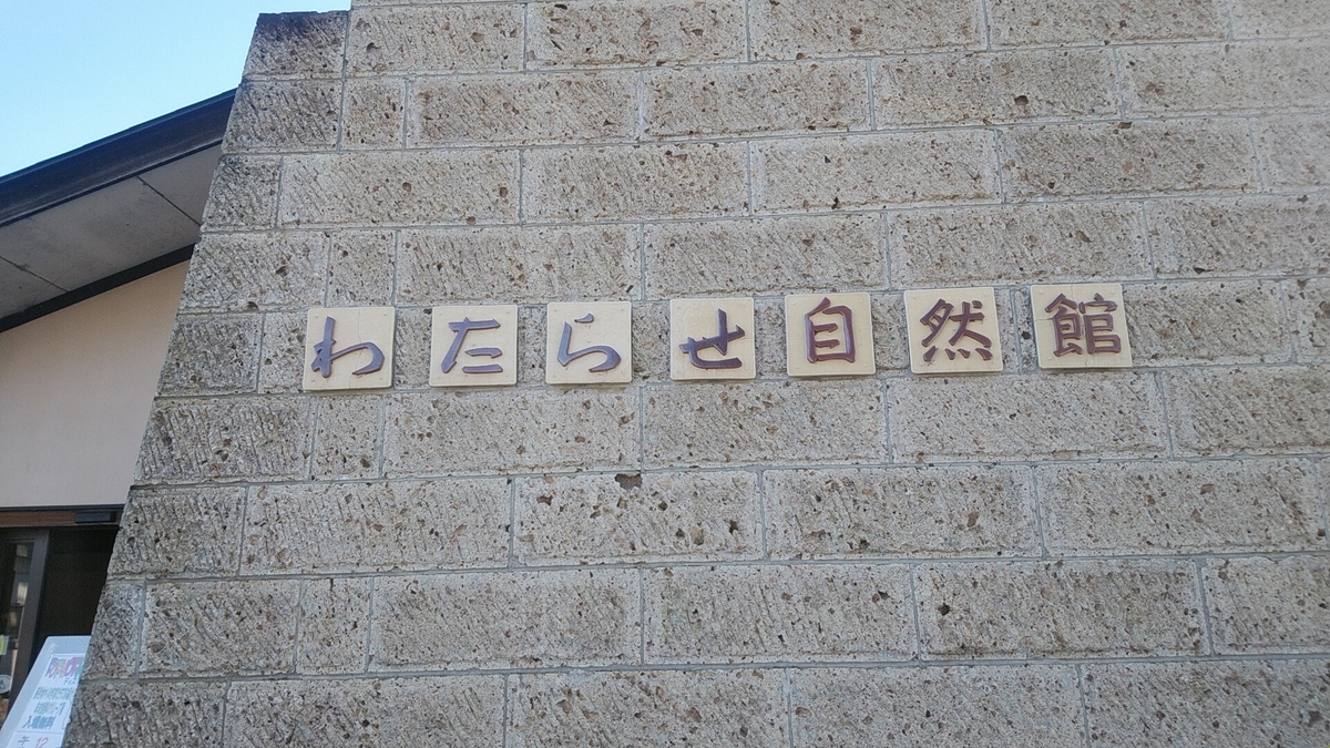 f:id:Lunakko:20211204120146j:plain