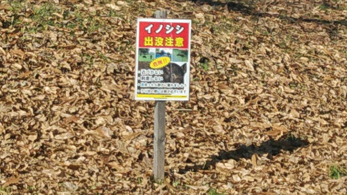 f:id:Lunakko:20211204123219j:plain