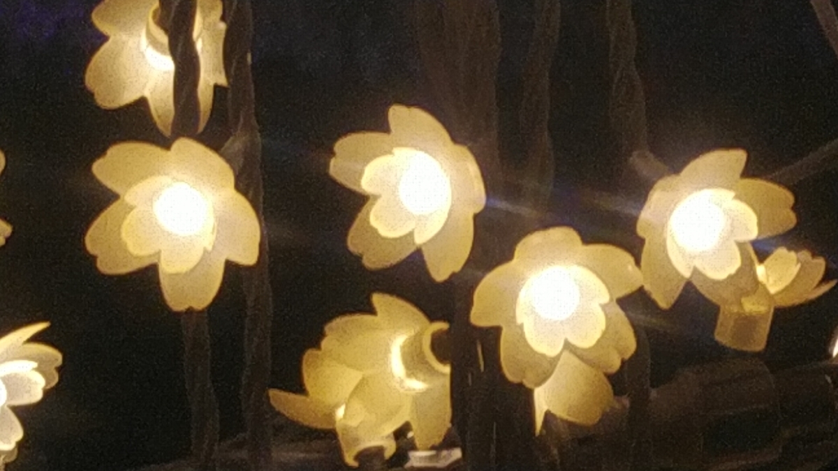 f:id:Lunakko:20211206203553j:plain