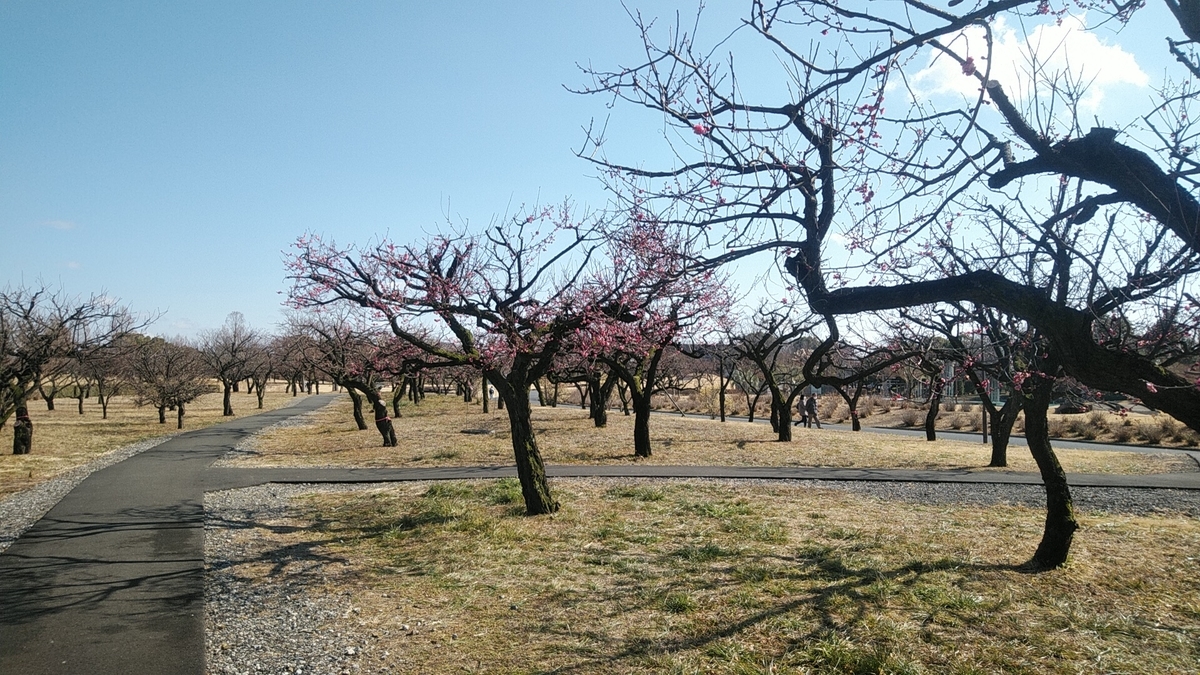 f:id:Lunakko:20220212103932j:plain