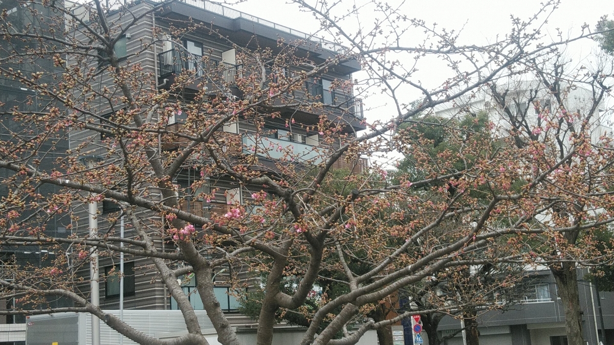 f:id:Lunakko:20220220125600j:plain