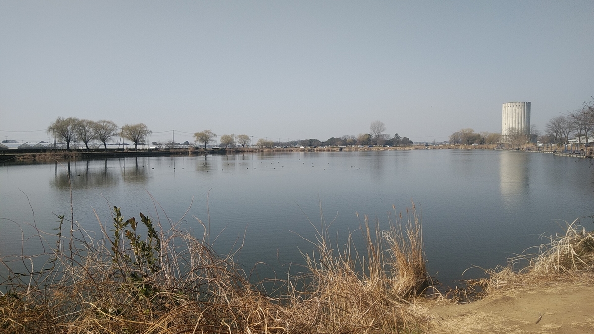 f:id:Lunakko:20220305101245j:plain