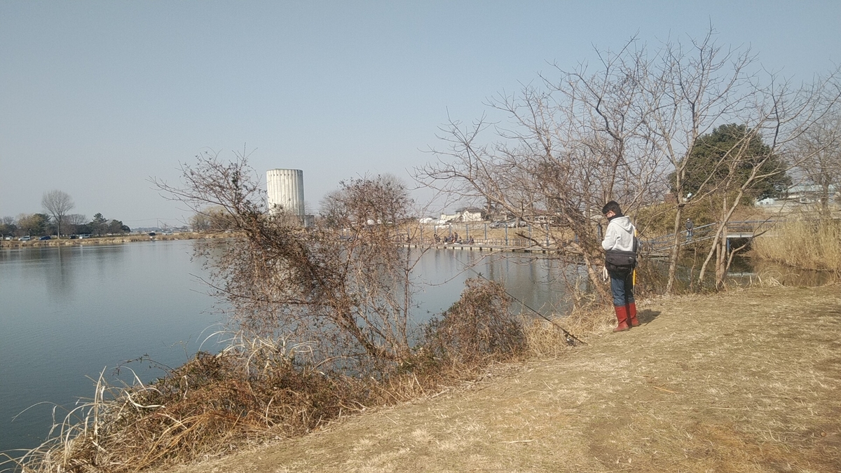 f:id:Lunakko:20220305101348j:plain