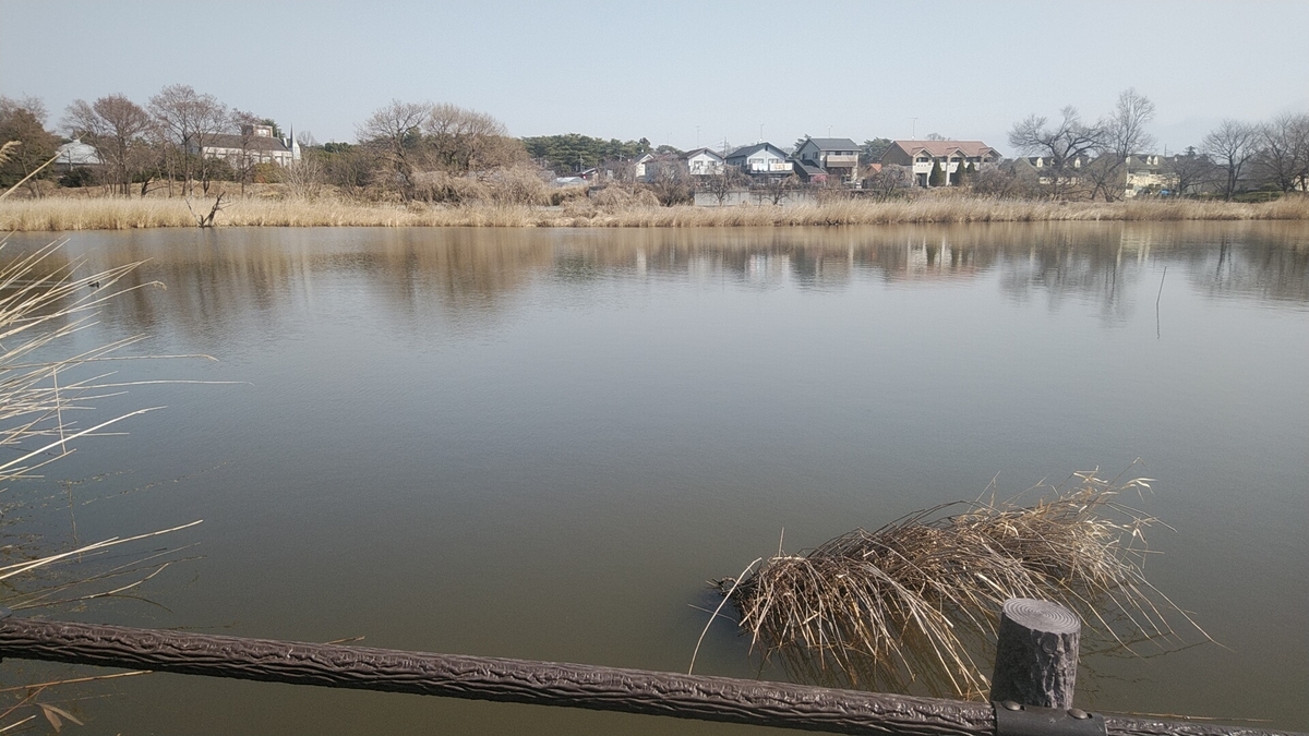 f:id:Lunakko:20220305104755j:plain