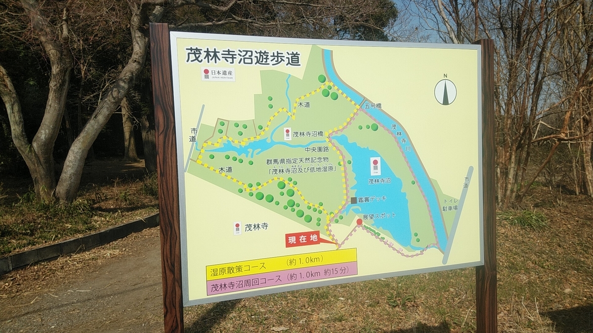 f:id:Lunakko:20220305105331j:plain