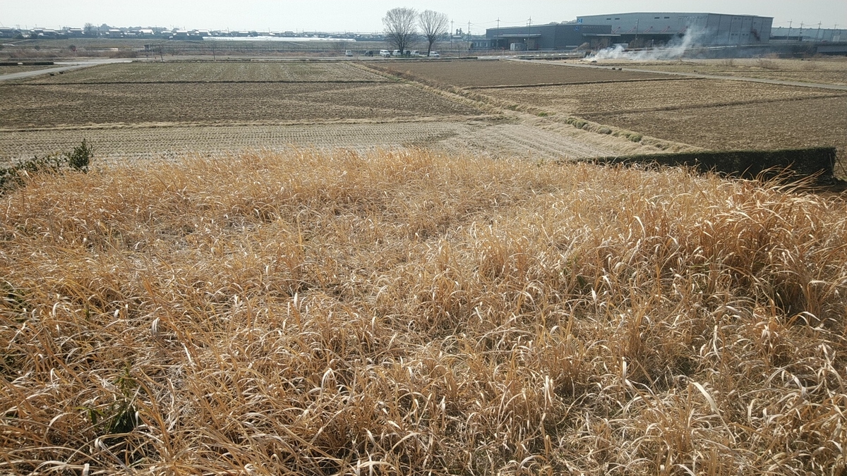 f:id:Lunakko:20220305123612j:plain