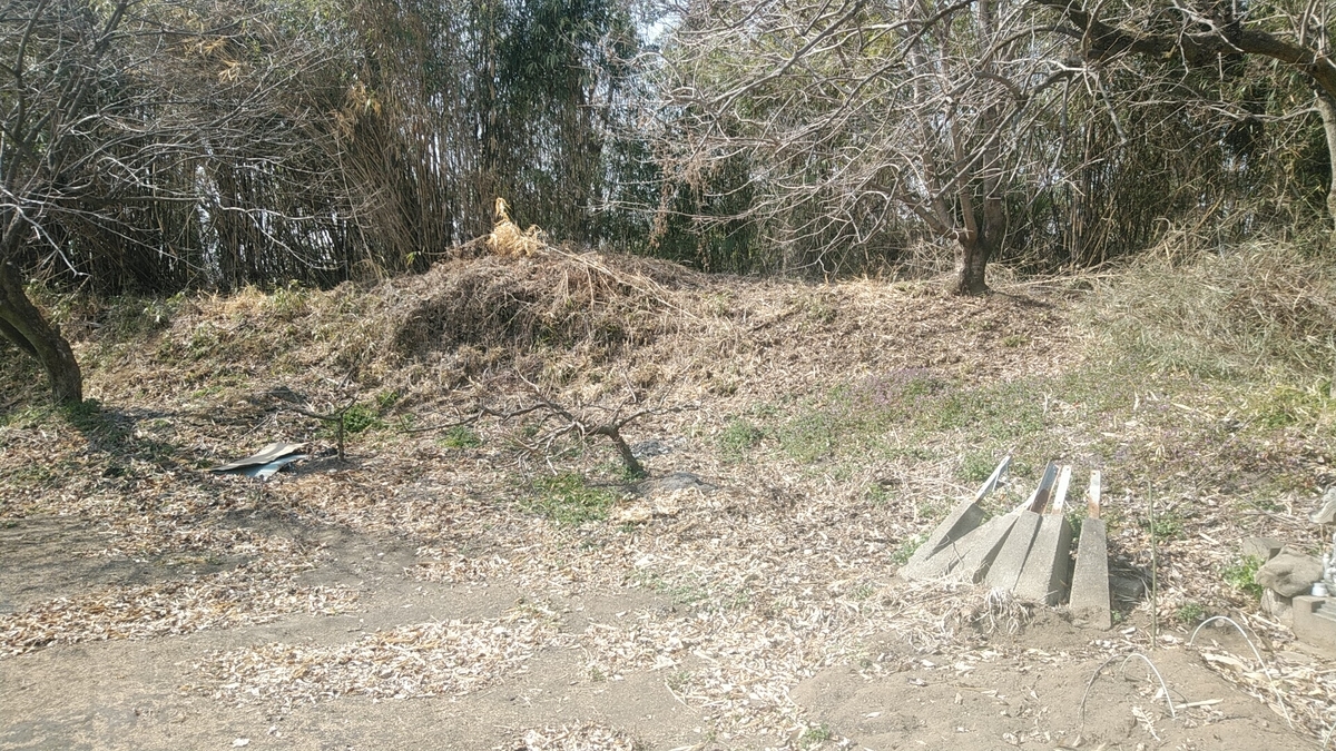 f:id:Lunakko:20220305125039j:plain