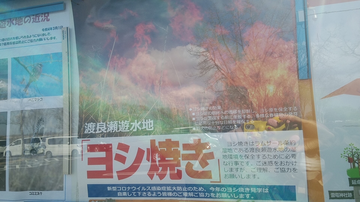 f:id:Lunakko:20220306131245j:plain