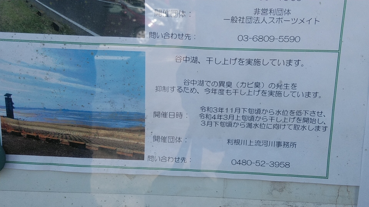 f:id:Lunakko:20220306131421j:plain