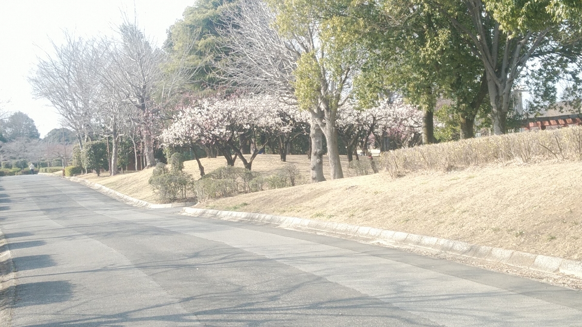 f:id:Lunakko:20220308144230j:plain